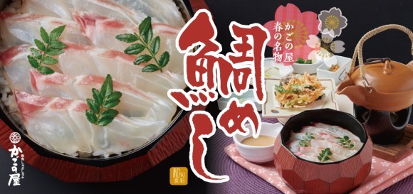 鯛めしフェア開催！