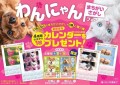 文響社 毎日脳活スペシャル「いぬのまちがいさがし」「ねこのまちがいさがし」書店フェアでカレンダーをプレゼント