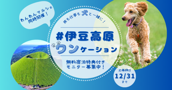 伊豆高原ワンケーション