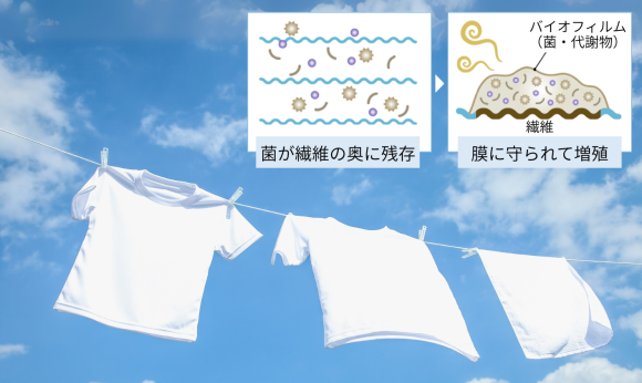 洗ってもにおう、繰り返しの使用で色がくすむ —— 背景にある「バイオフィルム」