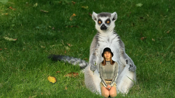 自撮りスタジオ「セルホ」登録商標