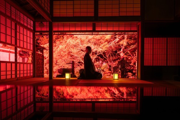 展示されている写真「東光寺－ドウダンツツジライトアップ」