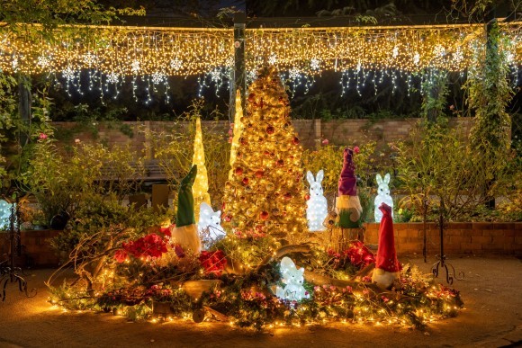 クリスマスイルミネーション