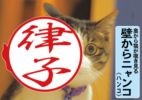 メインタイトル