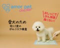 犬のがんリスク検査「アモルペットチェッカー」