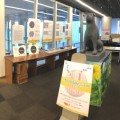 渋谷区 こども科学センター・ハチラボで開催中のハチ公STEAMコンテスト入選作品展