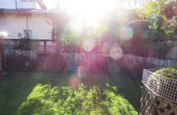 朝陽に照らされる霊体　霊界は地上から大気層８０㎞まで全体のことを言います。