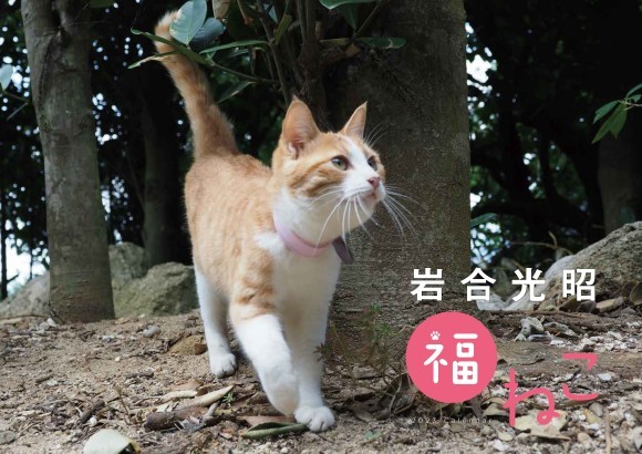岩合光昭　福ねこカレンダー2023
