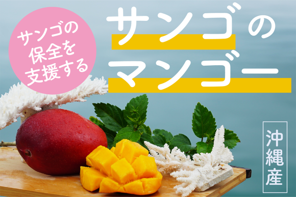 サンゴの保全を支援する、サンゴのマンゴー