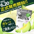 HE PROTEIN メロン風味