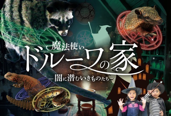 魔法の力を隠し持つ？！スゴイいきもの大集合！  自分だけの「呪文」を作って「伝説の使い魔」と契約しよう！