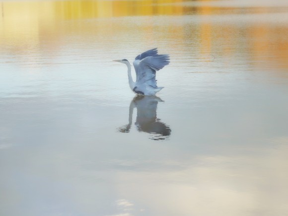 きらめきぷらすWEBMAGAZINEで好評連載中！ 【連載】写真短歌（１３）・・川喜田 晶子