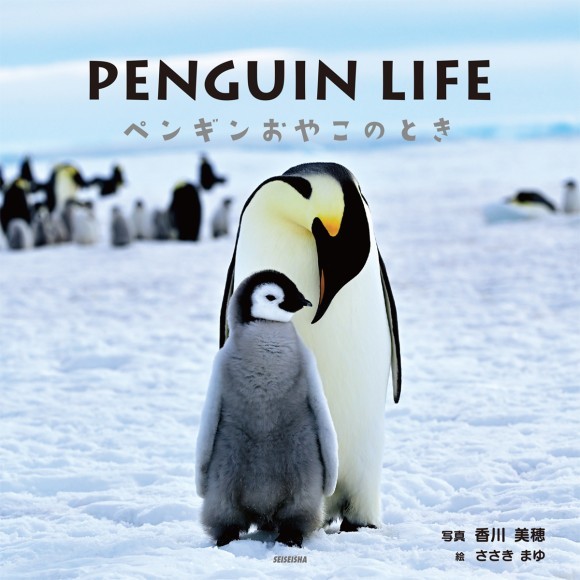 世界を旅する写真家・香川美穂さんのペンギン写真集「PENGUIN