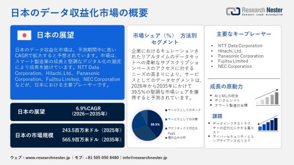 日本のデータ収益化市場