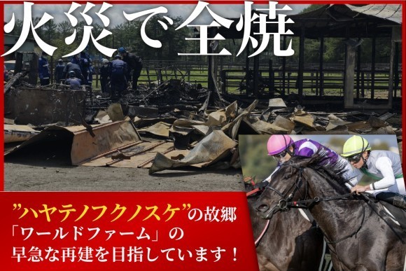 火災で全焼した名馬の牧場「ワールドファーム」再建へ！クラウドファンディング始動【つながりファンディング無償制作支援】