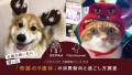 9連休 犬猫飼い主の消費調査