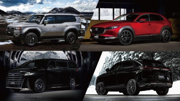 RAYS SEASON SELECTION（RSS）