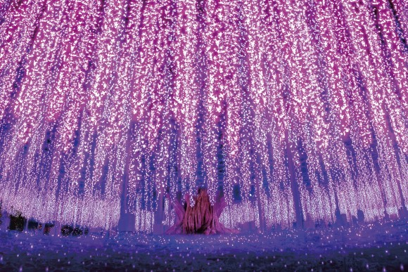 あしかがフラワーパーク 光の花の庭