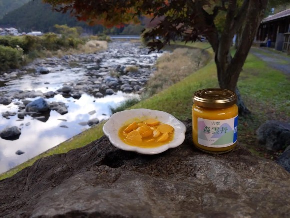 当社が技術提供するプラントベースドシーフード食材のイメージ