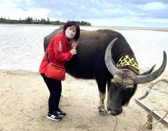 【USIMO】仔牛の熱中症対策に！接触冷感ネッククーラー、6/18淡路家畜市場に登場