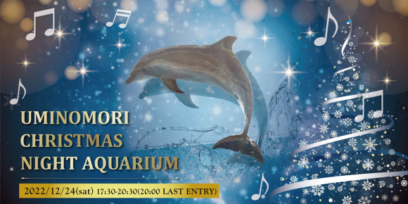 12/24（土）開催「UMINOMORI CHRISTMAS NIGHT AQUARIUM」