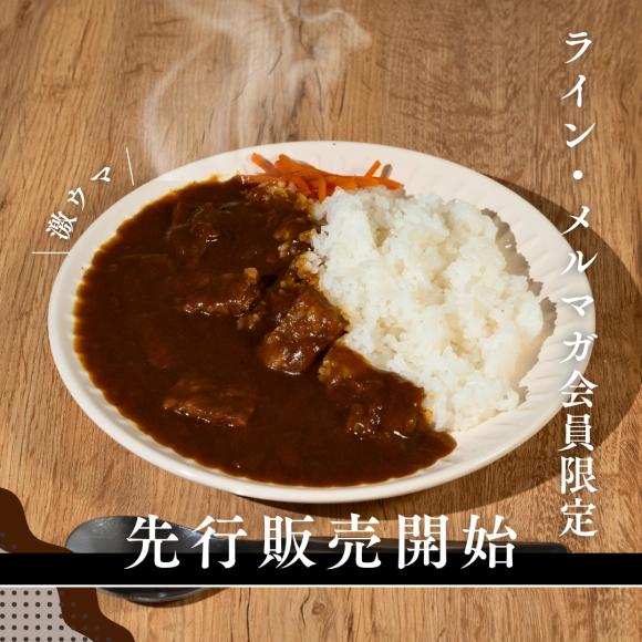 NINZIA BOSAI 欧風カレー