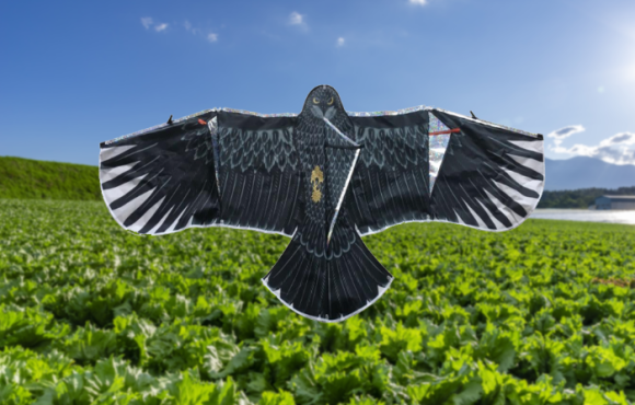 農作物を鳥の被害から守る畑の番人 太陽の光を反射してキラキラ光る 「BICROP　キラキラ鳥追いカイト鷹」