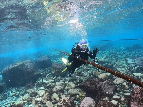 富戸ヨコバマ　エントリー