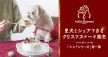 人と愛犬が一緒に食べられるクリスマスケーキがオンラインで予約受付開始