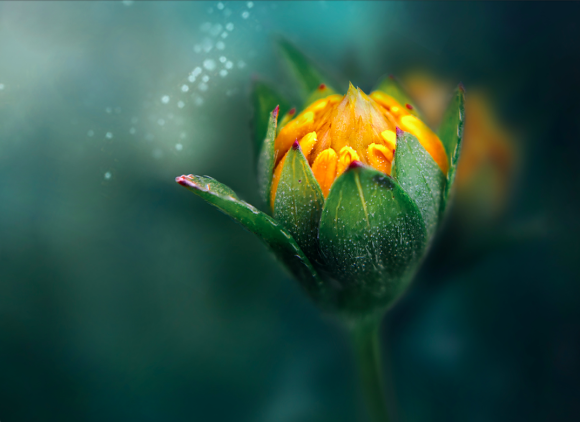 第８回 ライフスタイル展示会フェス・リエゾンTOKYO