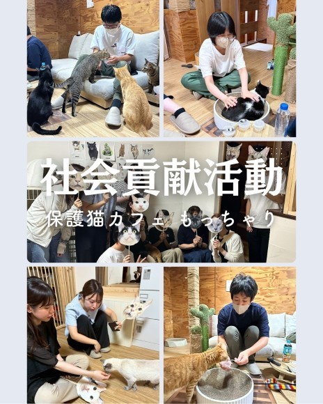 社会貢献_保護猫カフェ