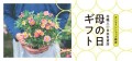 「花職人×日本百貨店」母の日ギフト
