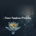Nature Symphonic Orchestra / Sunshine & Motivation Sound Bath
