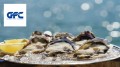 兵庫県 室津漁場の牡蠣