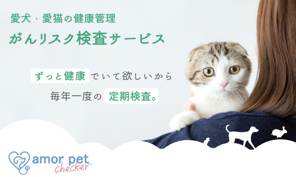 アモルチェッカーロゴ