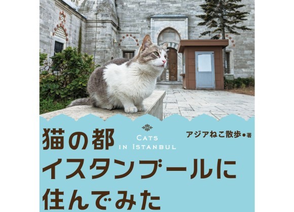『猫の都イスタンブールに住んでみた』書影