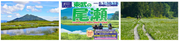 尾瀬夜行画像(イメージ)