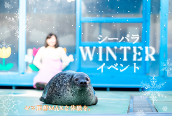 シーパラWINTERイベント　～寒さも吹っ飛ぶゼロ距離MAXな体験を～