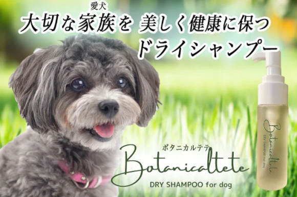 大切な家族（愛犬）には安心なものを与えたい！