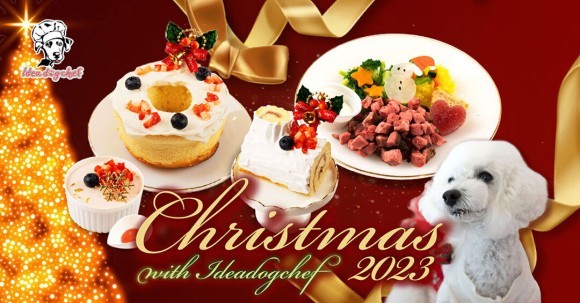 愛犬用クリスマスケーキとクリスマスディナープレート