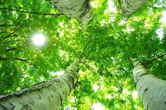 中小企業生産性向上促進事業費補助金