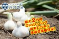 最大２万円キャッシュバック！年末ガラポン抽選会開催決定！