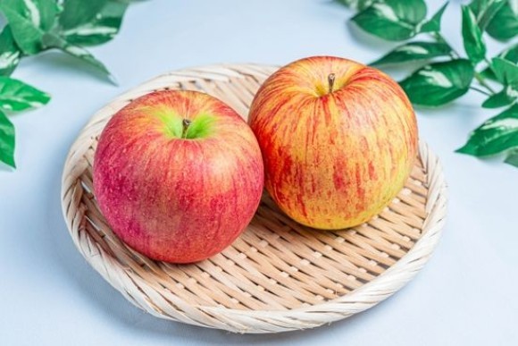 新事業展開等促進事業費補助金