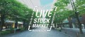 LIVE STOCK MARKET in MARUNOUCHIキーヴィジュアル