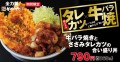 牛バラ焼きとささみタレカツの合い盛り丼