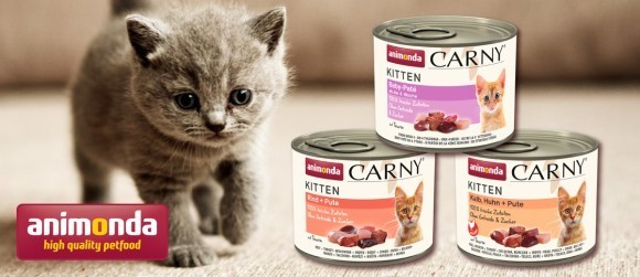 カーニーミートキツン新登場