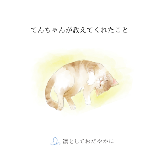 猫の“てんちゃん”との出会いから生まれた、撫でられる骨壷「TEN」 手元供養ブランド『凛としておだやかに』が絵本のようなパンフレットを発表