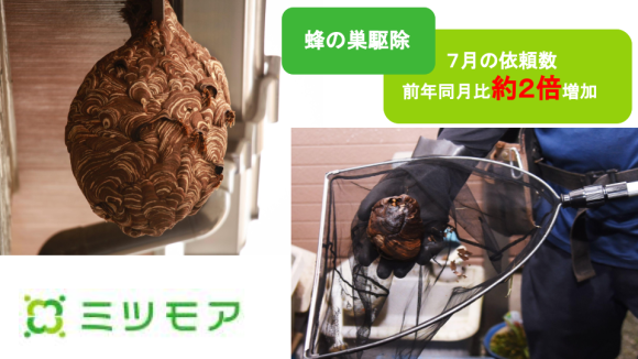 ミツモア、７月の「蜂の巣駆除」依頼数前年同月比約２倍増加 コロナ禍の安全確保でプロの駆除需要高まる