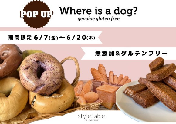 実施したイベントの様子