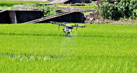 『土壌「耕す、耕さない」はどちらも正解である』